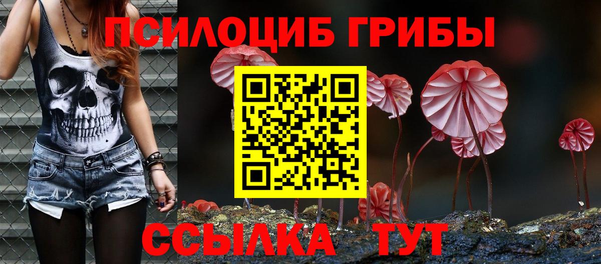 Железноводск  Псилоцибиновые грибы прущие грибы  где продают наркотики  Вход с VPN  Галлюциногенные грибы прущие грибы 